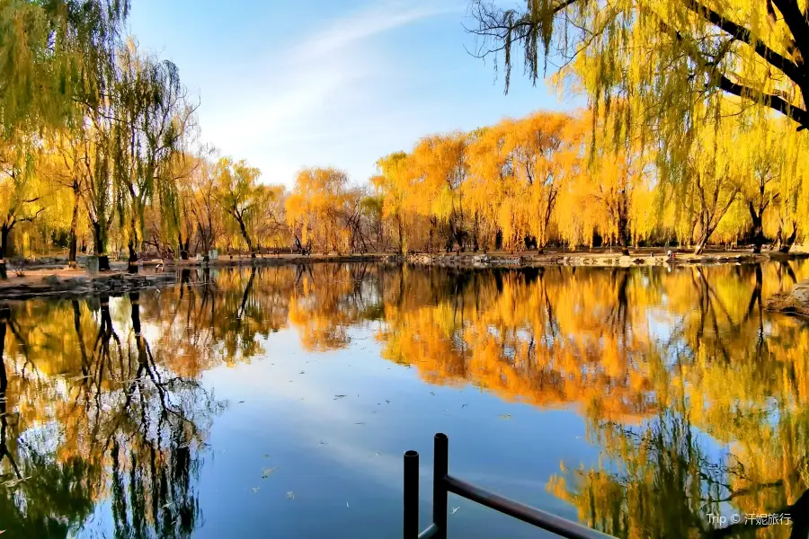 Qichun Garden