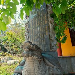 Zammai張用戶圖片