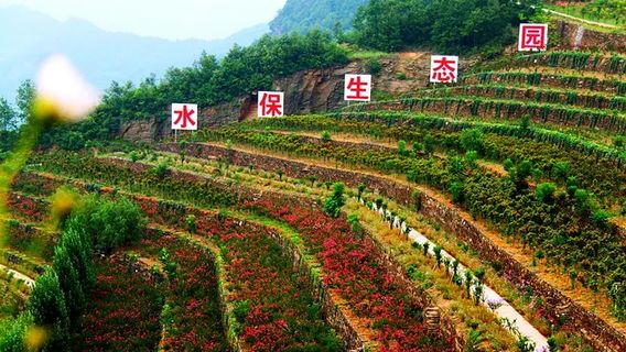tian bao ti cai nong yuan jing qu