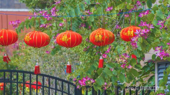 #那些花兒等你曬 晉江桂山公園，以一池水取景，水岸邊有洋紫荊