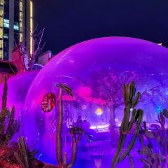 夢幻星空DreamSky（永嘉店）張用戶圖片