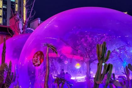 夢幻星空DreamSky（永嘉店）