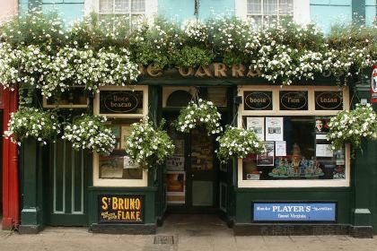 John Kavanagh The Gravediggers