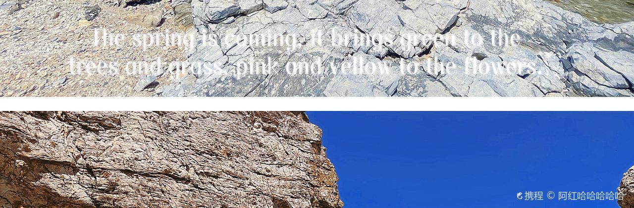 桃源活羊馆(二部)