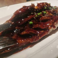 绿茶餐厅(郑州万象城店) User Photo