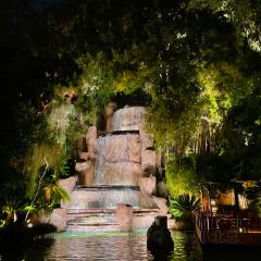 Mizumi 여행 사진