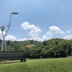 Xinlongshengtaiyuan User Photo