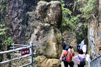莽山天台山美食
