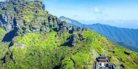 梵凈山生態植物園