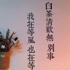 贾家庄贾街 여행 사진