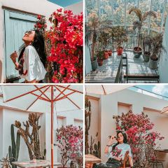 BoboLEE Roof Garden User Photo