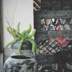 青山小厨土菜馆(青城山店) 여행 사진