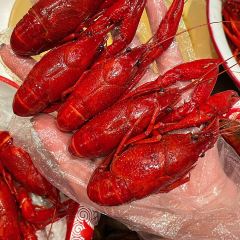 四毛龙虾(世欧店) User Photo