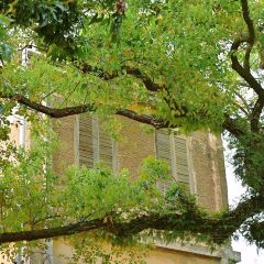 美雪食堂 User Photo