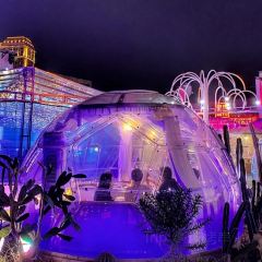 夢幻星空DreamSky（永嘉店）張用戶圖片