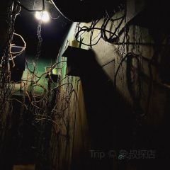 XIN FU LOU SEAFOOD FANG User Photo