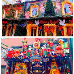 Little Kook User Photo