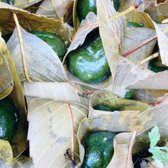 Zhengzong113haomidoufudian User Photo