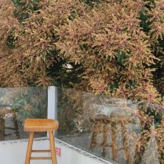 BlueWind青岚咖啡(新龙店) User Photo