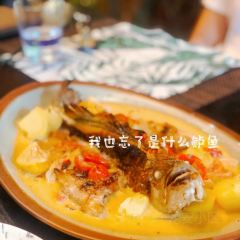 ZHU YI 여행 사진