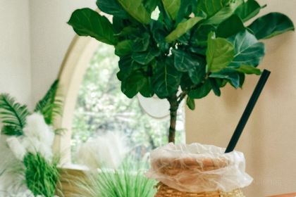 曼里花园·泰式料理(龙泰花园店)