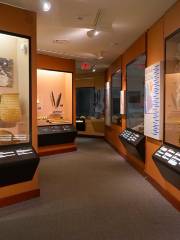 皮博迪考古學與人類學博物館