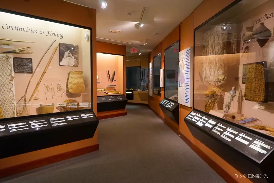 皮博迪考古學與人類學博物館