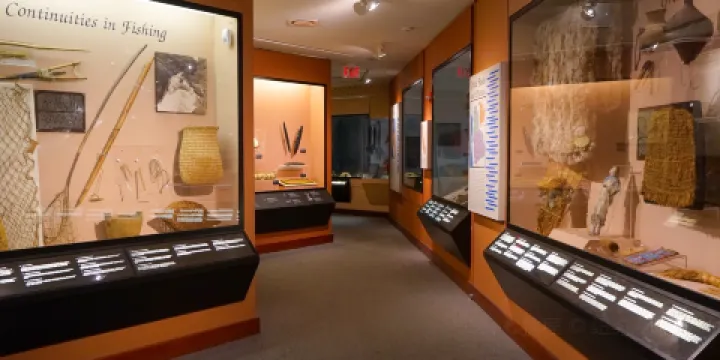 皮博迪考古學與人類學博物館