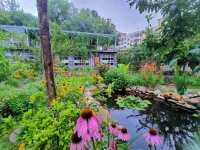 A Guest House