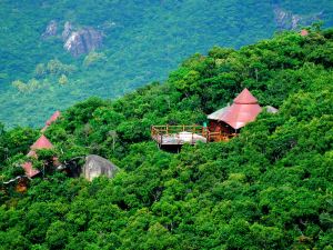 亞龍灣人間天堂鳥巢集結地叢林度假村