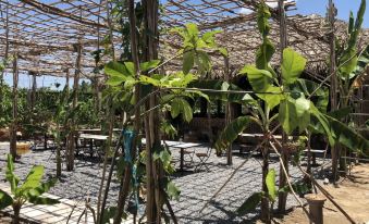 Bau Bi Mini Farmstay Mekong - Tien Giang