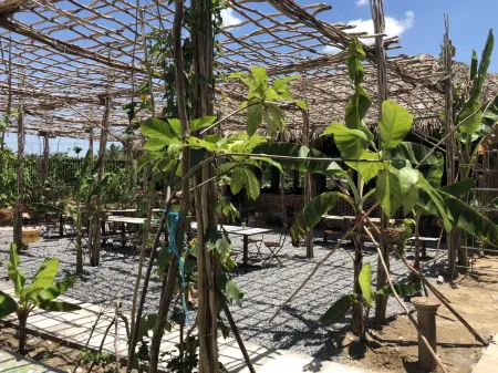 Bau Bi Mini Farmstay Mekong - Tien Giang Отели рядом с достопримечательностью «Dong Tam Snake Farm»