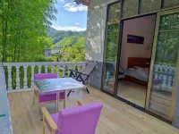 Shennong Valley Xishui Hotel - balcony