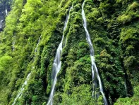Tongzi County Shuiyinhe Haoyoulai Farm Stay