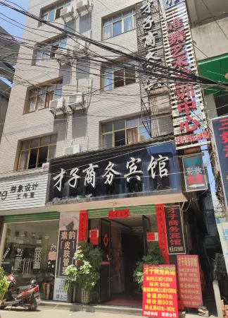 Caizi Business Hotel Отели в г. Суйчуань