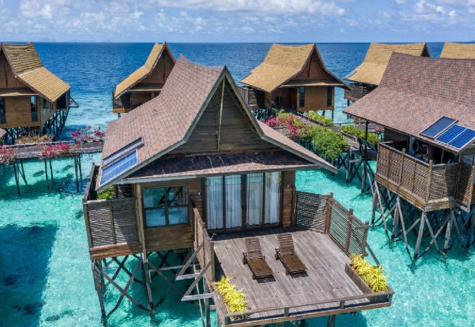 마불섬 수중 생태계