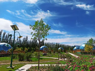 Colorful Danxia Haisheng Tent Hotel Hotels in Linze