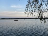 上海明珠湖度假村 - 酒店附近