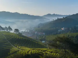 武夷山嘉葉山舍（福蓮茶莊園店）