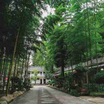 Ziwei Mountain Villa Hotel Exterior