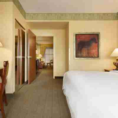 Embassy Suites by Hilton Albuquerque Rooms