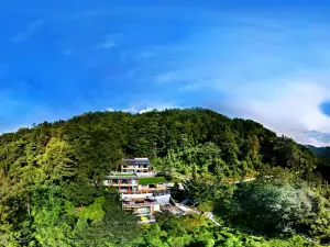汶川的熱門精品民宿