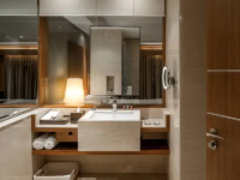 Hyatt Ahmedabad Hotels in Ahmedabad