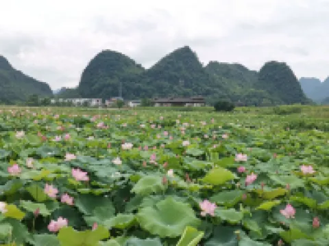 Yangshuo Jiuqi Xiaozhu Inn