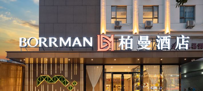 Borrman Hotel (Daye Qinglongshan Park Diaoyudao) Hotels in Daye