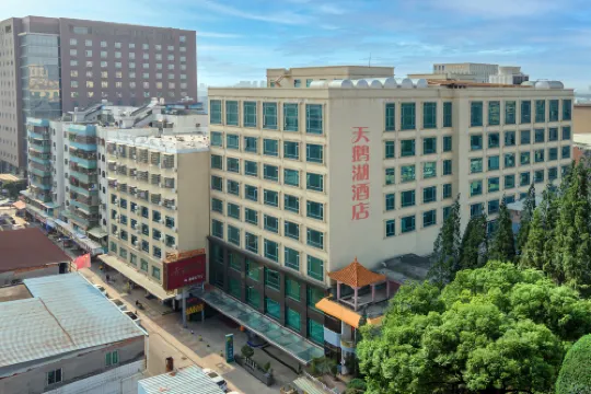 天鵝湖酒店（隱賢山莊度假區常平火車站店）