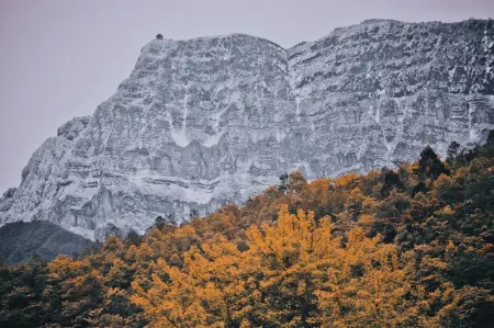 Emeishanmuran Homestay Отели рядом с достопримечательностью «Jiulao Cave»