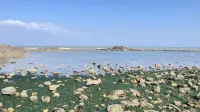 Boyah Hotel (Third Seaside Bathing Beach)