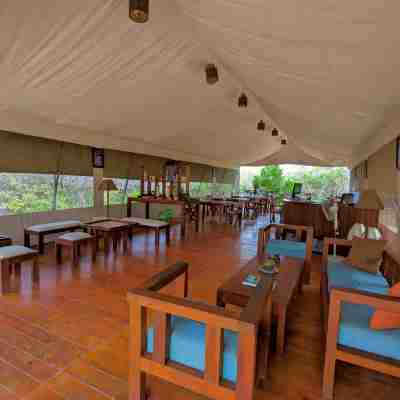 Yala Hotel Lion -Air Conditioned High Luxury Safari Camp Others