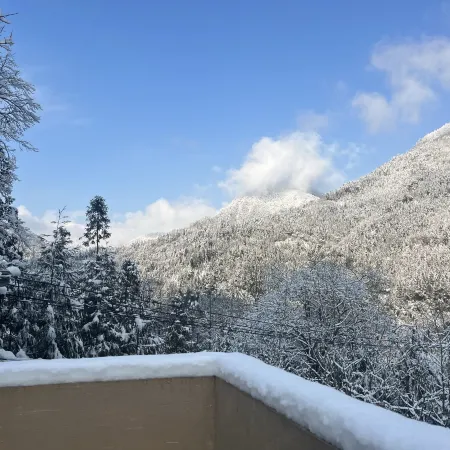 Xiling Snow Mountain Xixi·Yunjian Forest Private Soup Courtyard